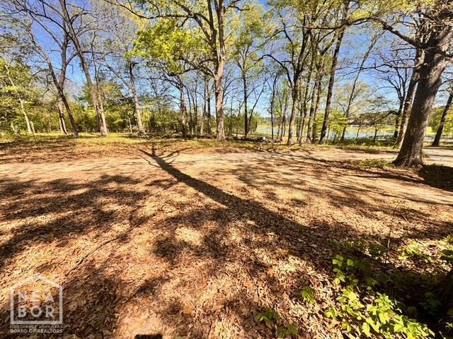 1405 Arrowhead Farm Rd, Jonesboro, AR 72401 - view of yard