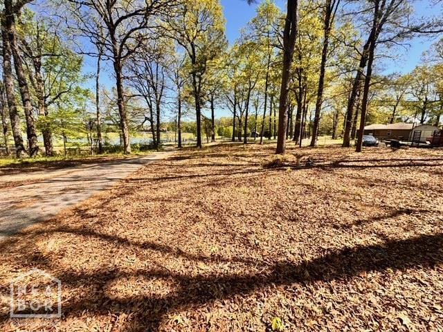 1405 Arrowhead Farm Rd, Jonesboro, AR 72401 - view of yard