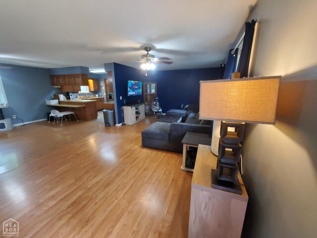 800 Hilltop Dr, Piggott, AR 72454 - living room featuring light wood-style flooring and ceiling fan