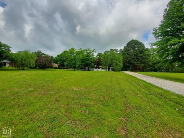 800 Hilltop Dr, Piggott, AR 72454 - view of green lawn