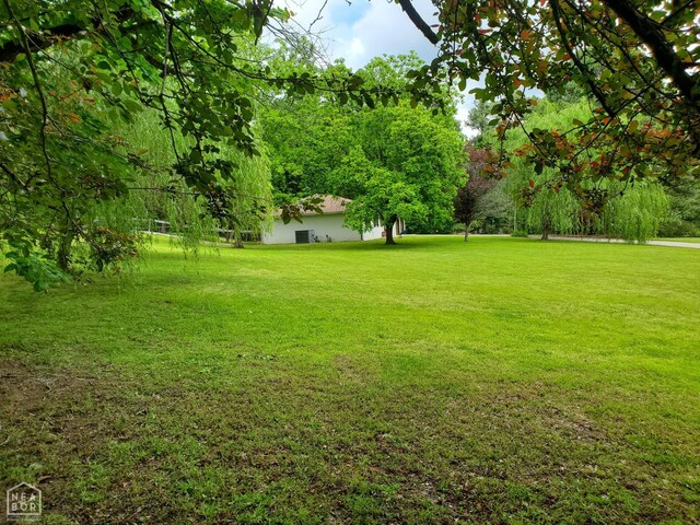 800 Hilltop Dr, Piggott, AR 72454 - view of green lawn