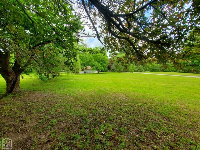 800 Hilltop Dr, Piggott, AR 72454 - view of green lawn