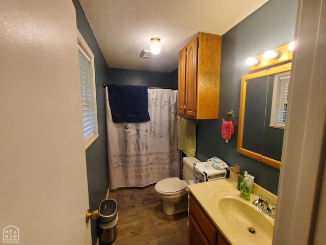 800 Hilltop Dr, Piggott, AR 72454 - bathroom with wood finished floors, vanity, toilet, a shower with curtain, and a textured ceiling