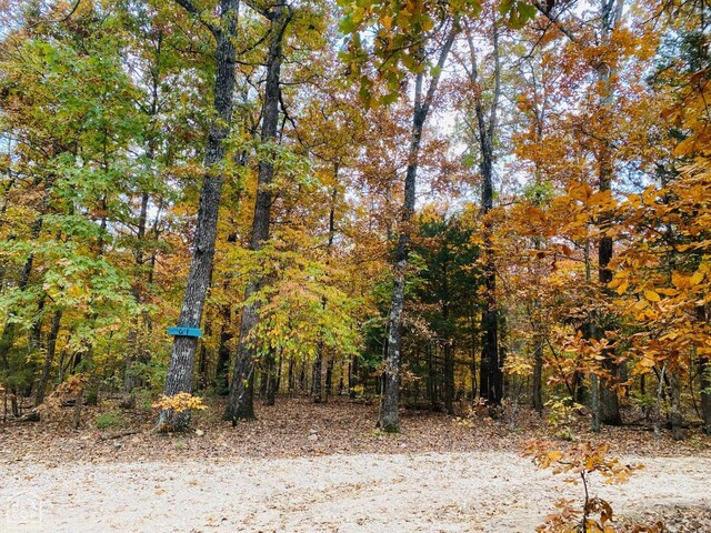 61 Bell Foley Ln, Poughkeepsie, AR 72569 - photo 2