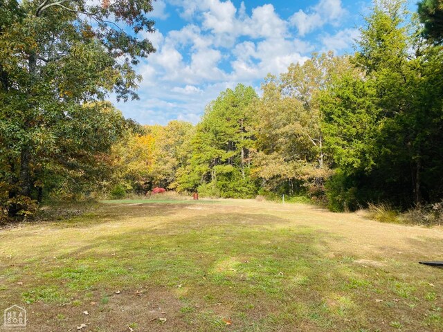 61 Bell Foley Ln, Poughkeepsie, AR 72569 - photo 5