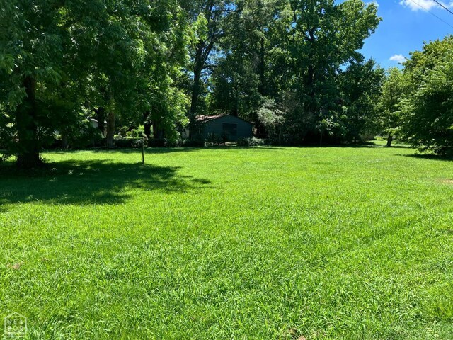 520 S Houston Ave, Piggott, AR 72454 - photo 2