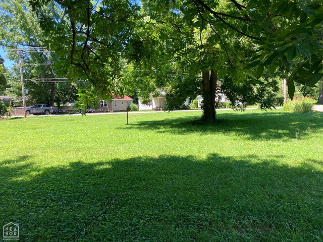 520 S Houston Ave, Piggott, AR 72454 - photo 9
