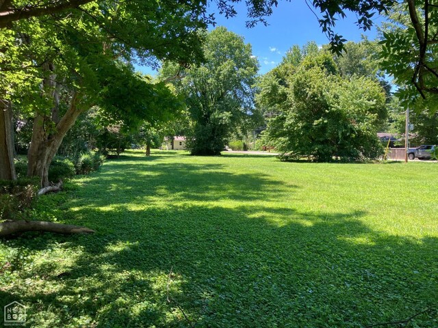 520 S Houston Ave, Piggott, AR 72454 - photo 8