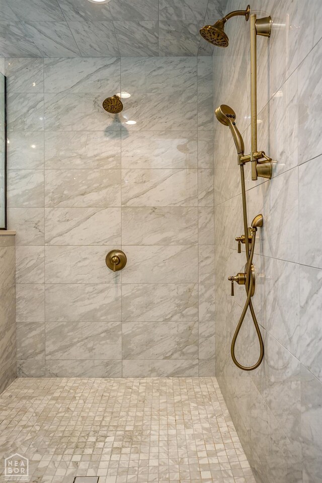 1203 Dove Rd, Jonesboro, AR 72401 - bathroom with tiled shower