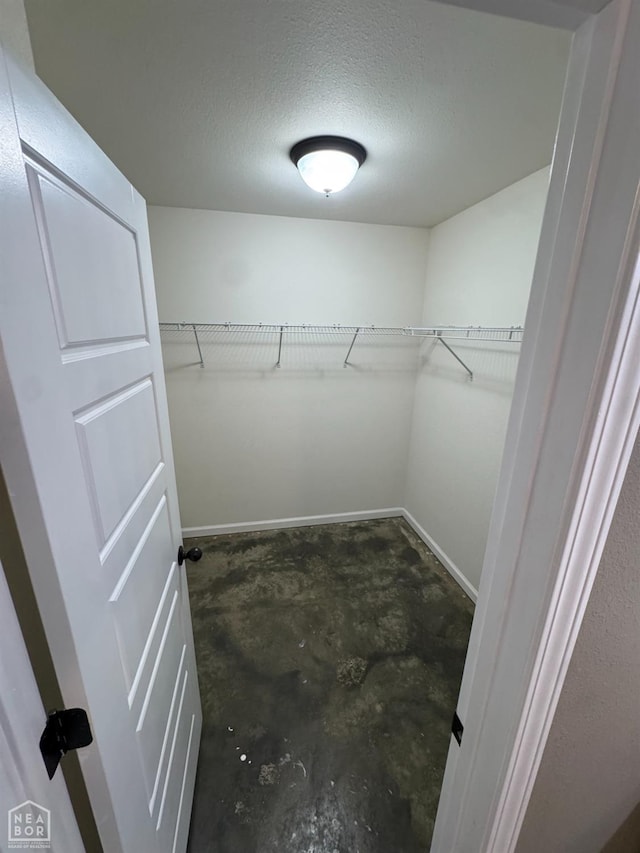 206 Gavin Dr, Paragould, AR 72450 - view of walk in closet