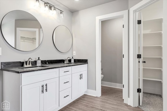 bathroom featuring a spacious closet, a sink, double vanity, and toilet