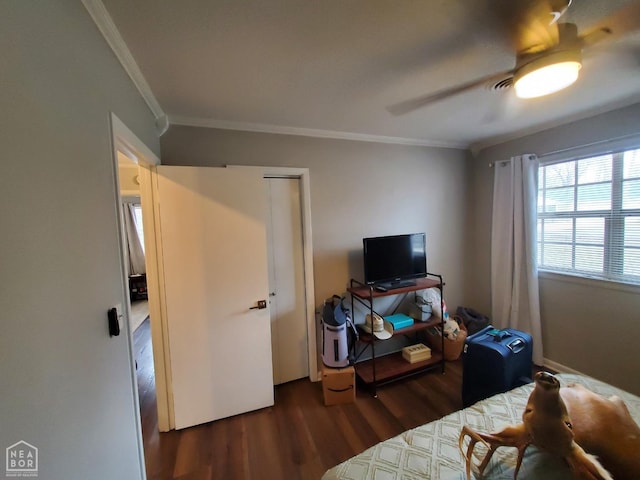980 Homecrest Dr, Piggott, AR 72454 - photo 24