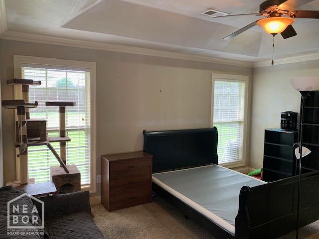4709 Summit Ridge Dr, Jonesboro, AR 72404 - bedroom featuring a tray ceiling, ornamental molding, multiple windows, carpet, and a ceiling fan