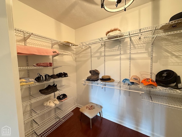 1354 Wiley Dr, Piggott, AR 72454 - spacious closet with wood finished floors