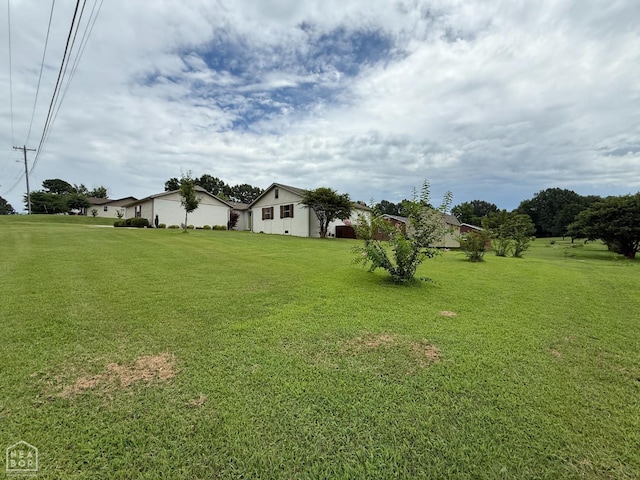 1354 Wiley Dr, Piggott, AR 72454 - view of green lawn