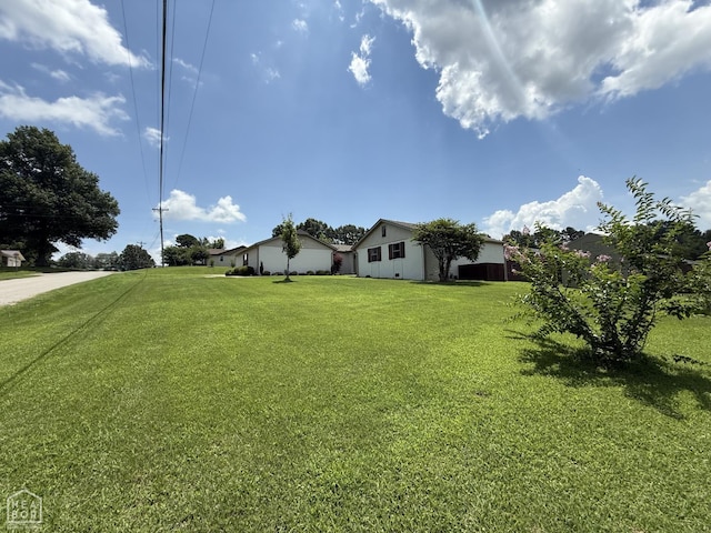 1354 Wiley Dr, Piggott, AR 72454 - view of grassy yard