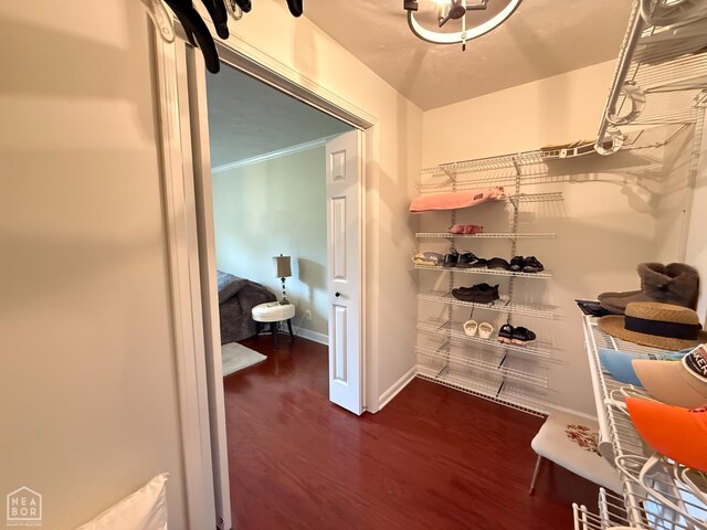 1354 Wiley Dr, Piggott, AR 72454 - spacious closet with wood finished floors