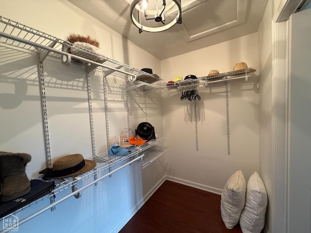 1354 Wiley Dr, Piggott, AR 72454 - spacious closet with dark wood-style flooring and attic access