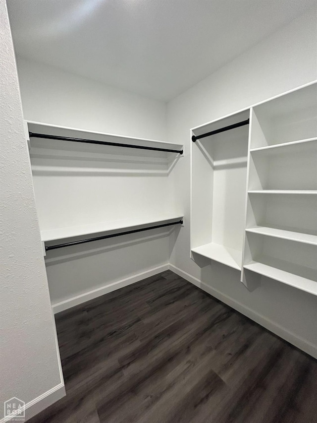 812 Pecan Grv, Trumann, AR 72472 - spacious closet with dark wood finished floors