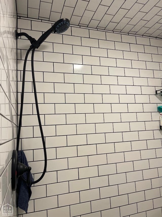 2052 Central Blvd, Bull Shoals, AR 72619 - bathroom with tiled shower
