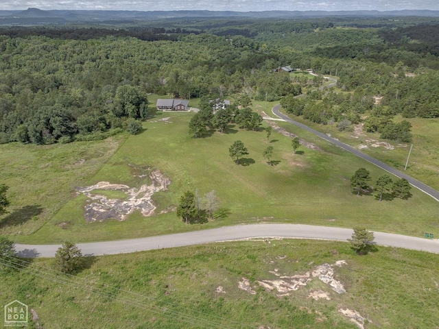 70 Dogwood Dr, Calico Rock, AR 72519 - photo 46