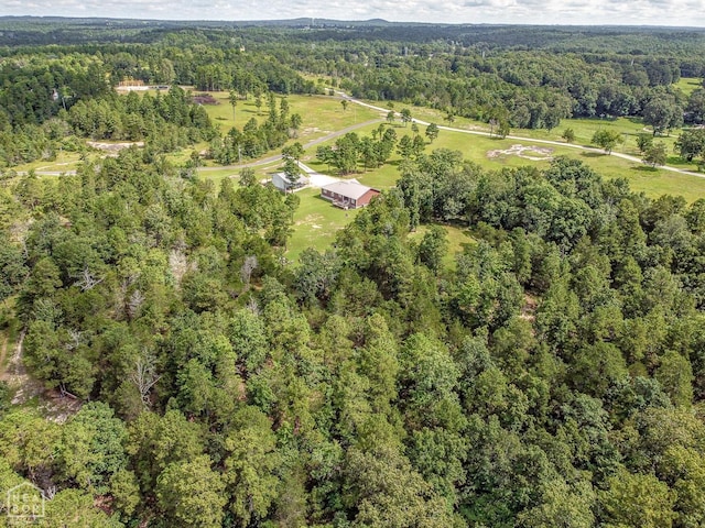 70 Dogwood Dr, Calico Rock, AR 72519 - photo 47