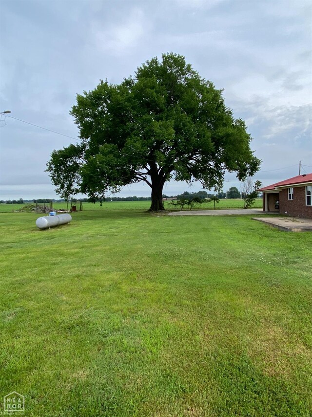 3969 NE State Highway 239, Blytheville, AR 72315 - view of grassy yard