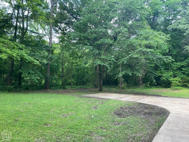 215 Shady Ln, Bono, AR 72416 - photo 18