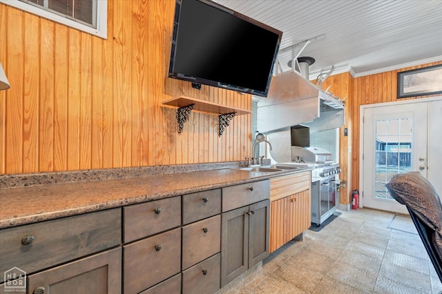 kitchen featuring open shelves, a sink, ornamental molding, light countertops, and wooden walls