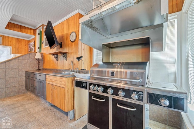 kitchen featuring wood walls, dishwasher, a sink, and ornamental molding