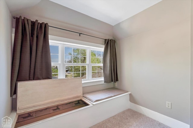 interior space featuring baseboards and lofted ceiling