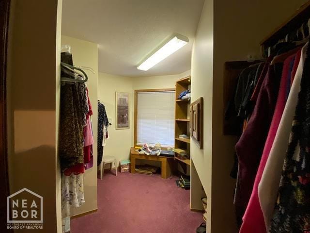 walk in closet with carpet floors