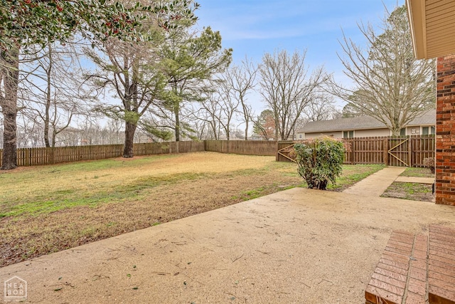 view of yard with a patio and a fenced backyard