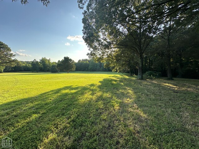 10 County Road 753, Jonesboro, AR 72405 - photo 8
