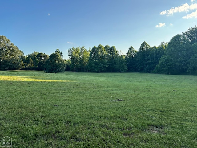 10 County Road 753, Jonesboro, AR 72405 - photo 17