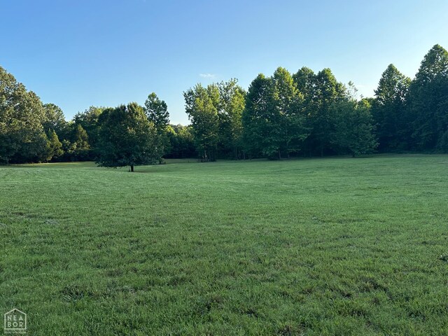 10 County Road 753, Jonesboro, AR 72405 - photo 22