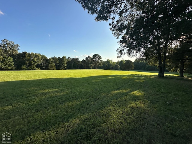 10 County Road 753, Jonesboro, AR 72405 - photo 4