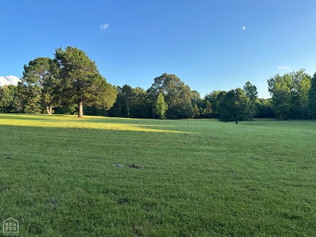 10 County Road 753, Jonesboro, AR 72405 - photo 20