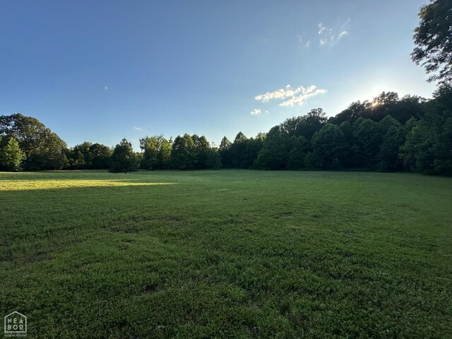 10 County Road 753, Jonesboro, AR 72405 - photo 15