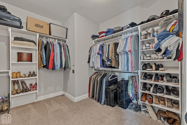 3293 Abigail Ct, Jonesboro, AR 72404 - spacious closet with carpet flooring