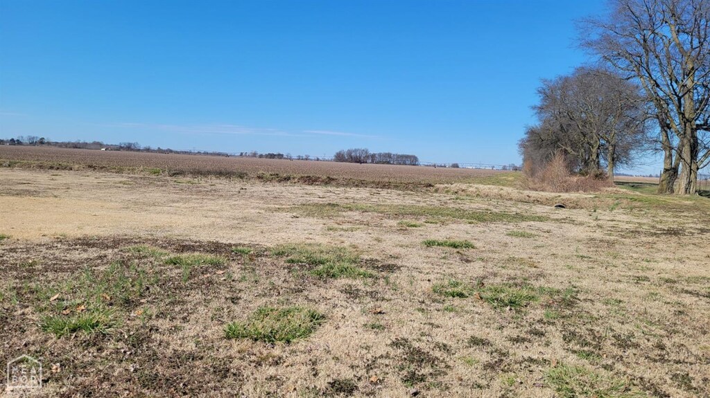 1 Rosemary, Bay, AR 72411 - photo 1