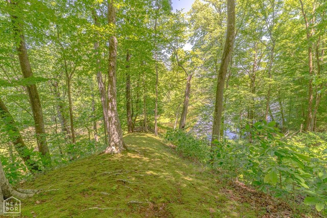 747 Lee 250th Rd, Marianna, AR 72360 - photo 34