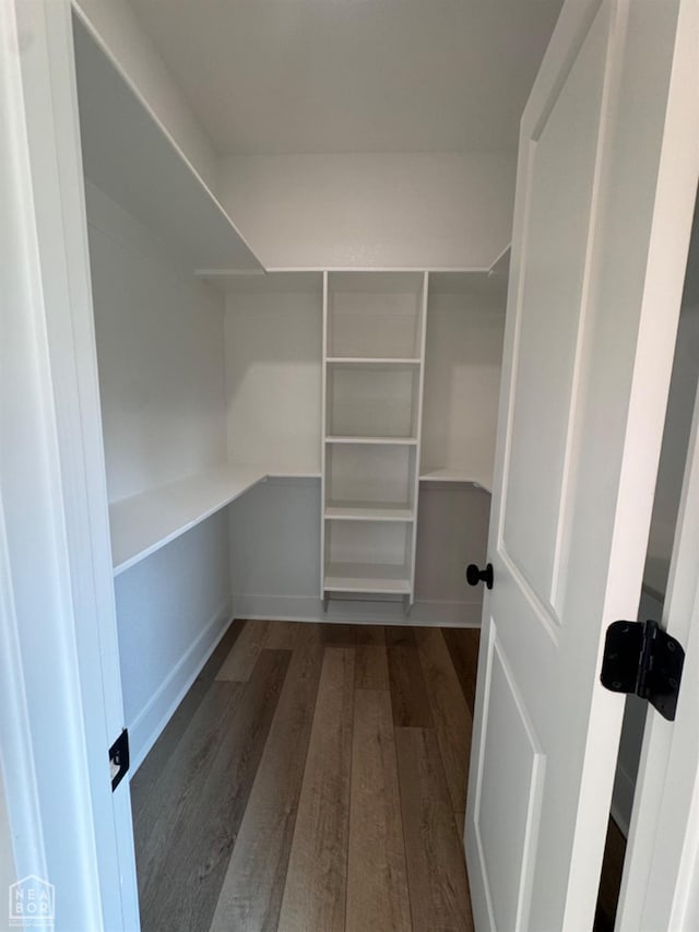 100 Lenford Dr, Bono, AR 72416 - walk in closet featuring wood finished floors