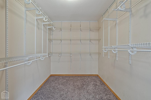 spacious closet with carpet flooring