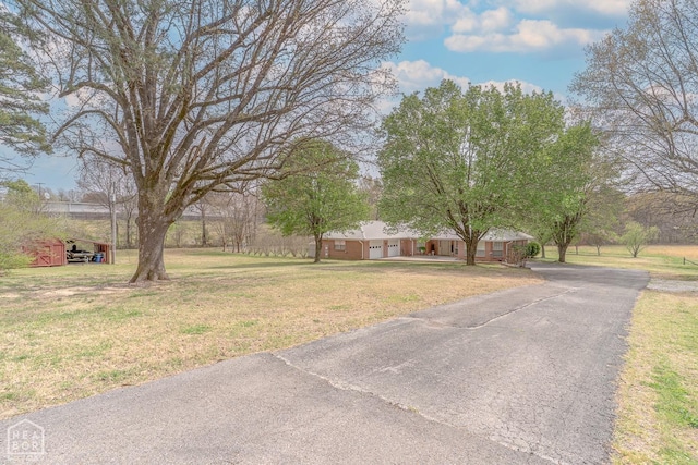 view of yard with driveway