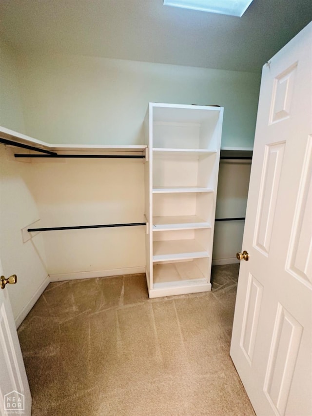 2208 John Cir, Newport, AR 72112 - walk in closet with a skylight and carpet