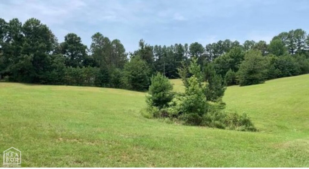 0 County Road 787, Jonesboro, AR 72405 - photo 3