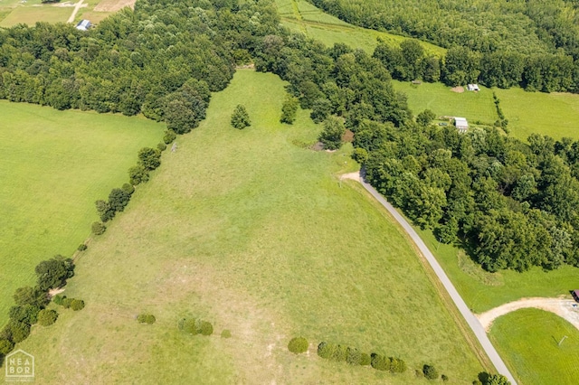 9 Eagle St, Lafe, AR 72436 - photo 7