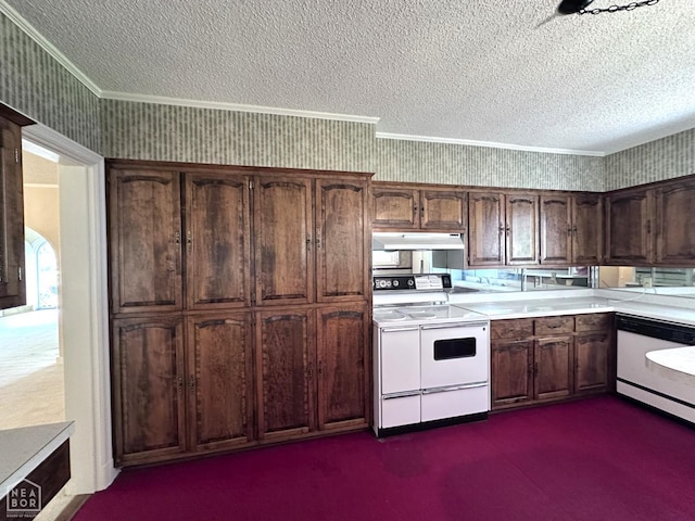 582 N 4th Ave, Piggott, AR 72454 - kitchen with white appliances, a textured ceiling, under cabinet range hood, crown molding, and light countertops