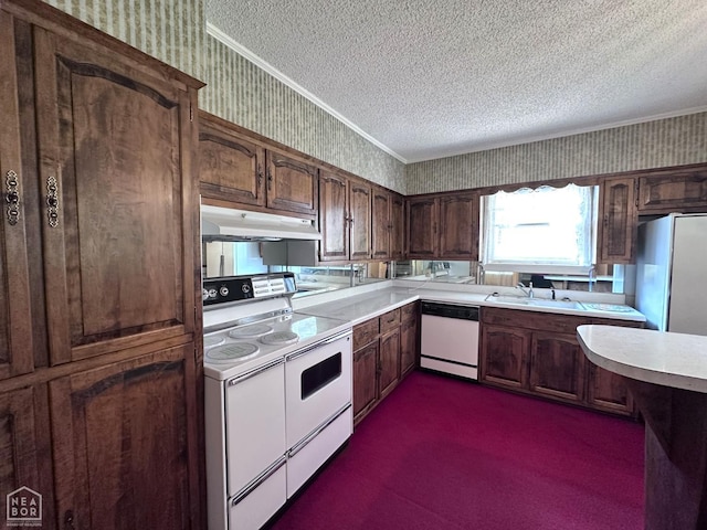 582 N 4th Ave, Piggott, AR 72454 - kitchen featuring white appliances, wallpapered walls, a textured ceiling, under cabinet range hood, and light countertops